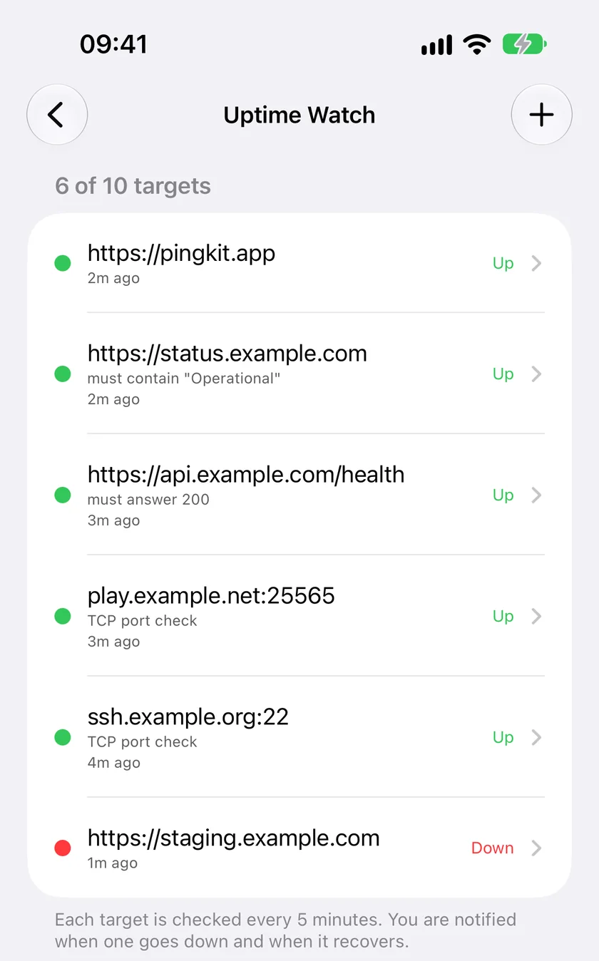 PingKit Uptime Watch on iPhone: websites and servers checked every five minutes, with a keyword check, an expected status and two TCP port checks, and one target down.